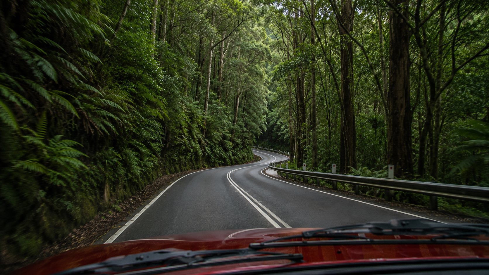 Driver's view of the road winding down through
               forest into the Megalong Valley